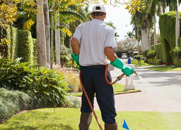 About Redan GA Pest Control Pros